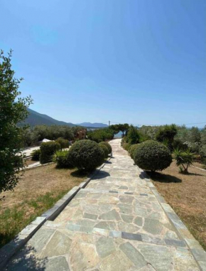 Seafront cottage in Chalkida - 60min from Athens